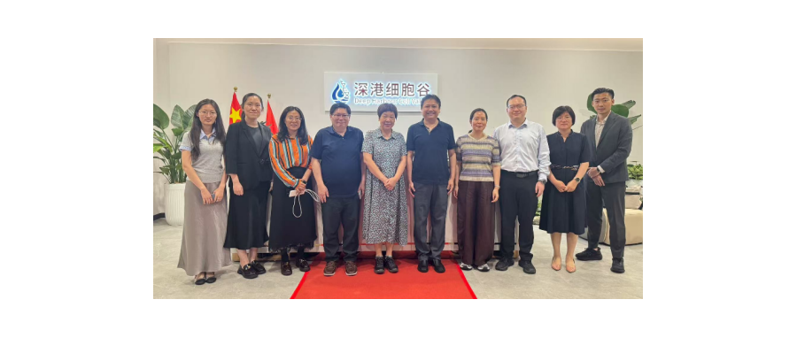 Leaders from the International Cooperation Center of the National Development and Reform Commission Visit Deep Harbour Cell Valley Healthcare and Technology Co., Ltd.