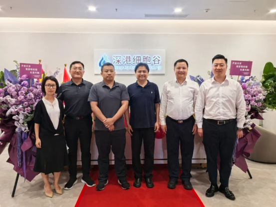 1774518265.png 图片.png