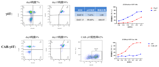 1775629679.png 图片.png